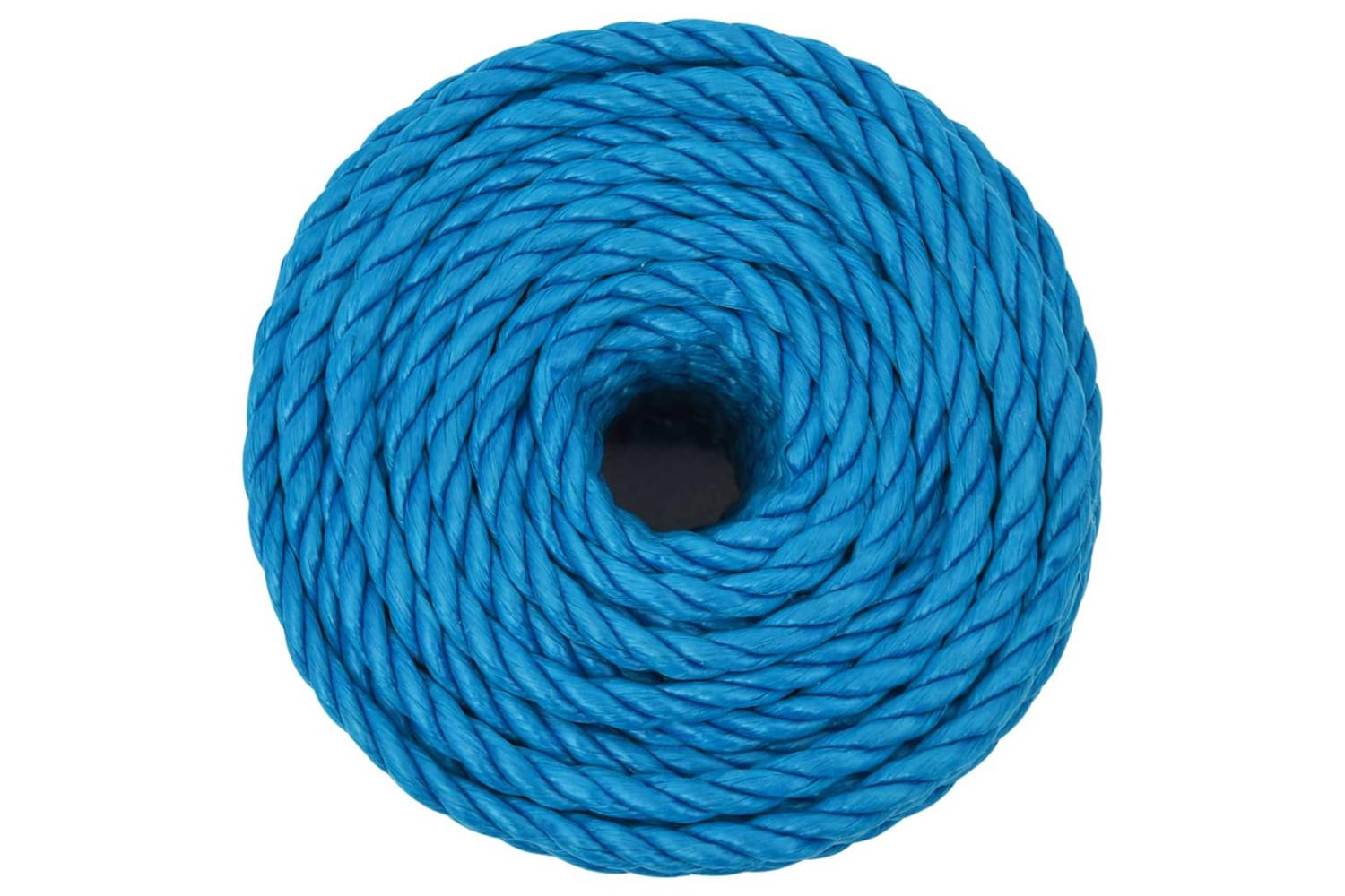 vidaXL 152972 Work Rope Blue 10mm 25 M Polypropylene-3