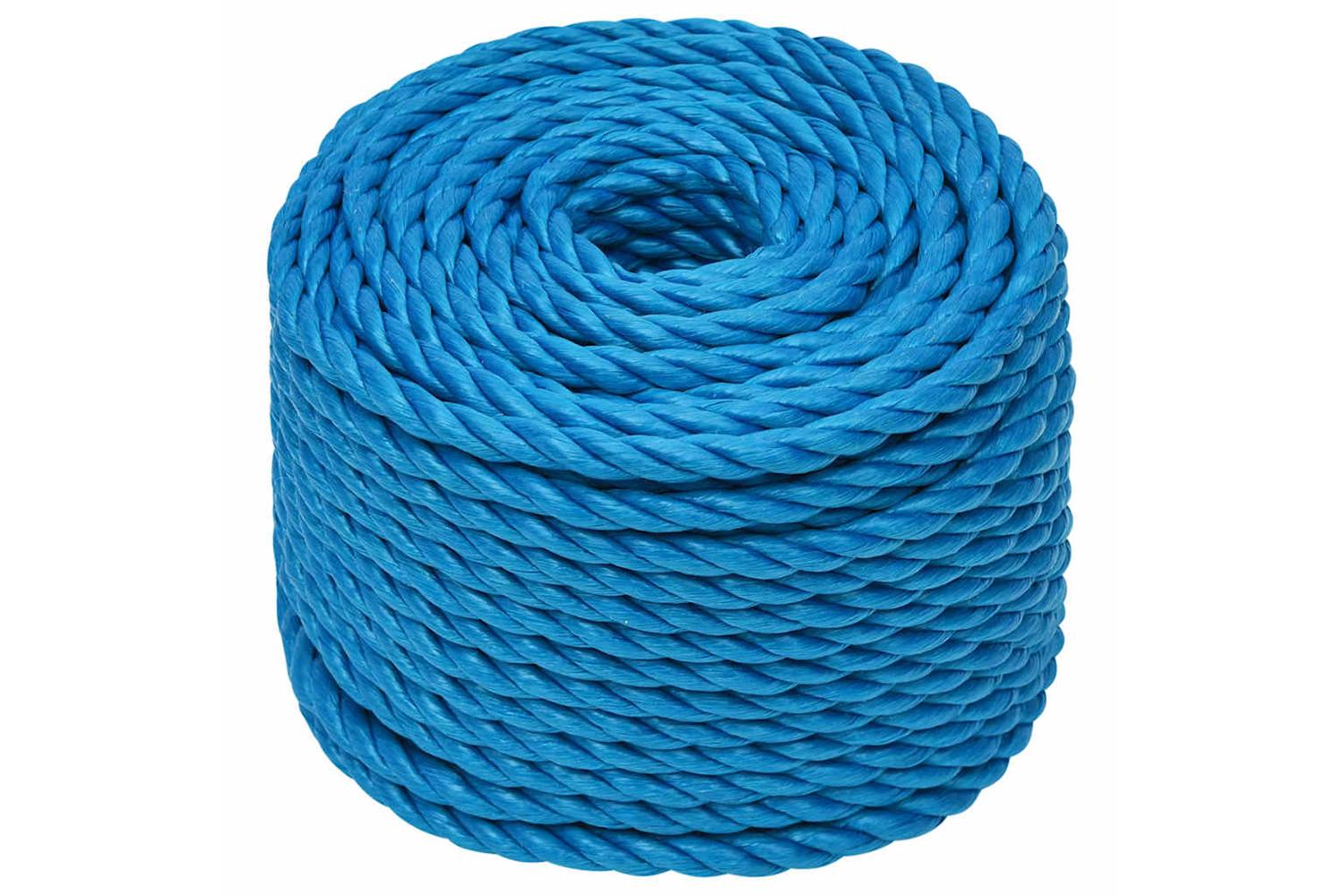 vidaXL 152973 Work Rope Blue 10mm 50 M Polypropylene-2