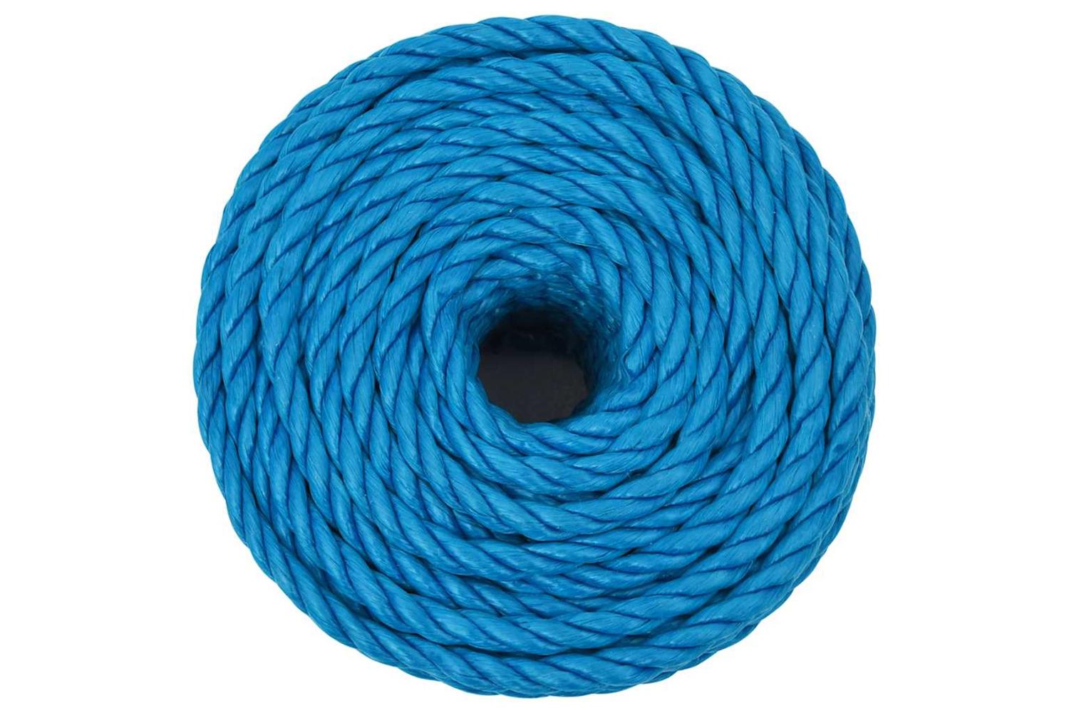 vidaXL 152973 Work Rope Blue 10mm 50 M Polypropylene-3