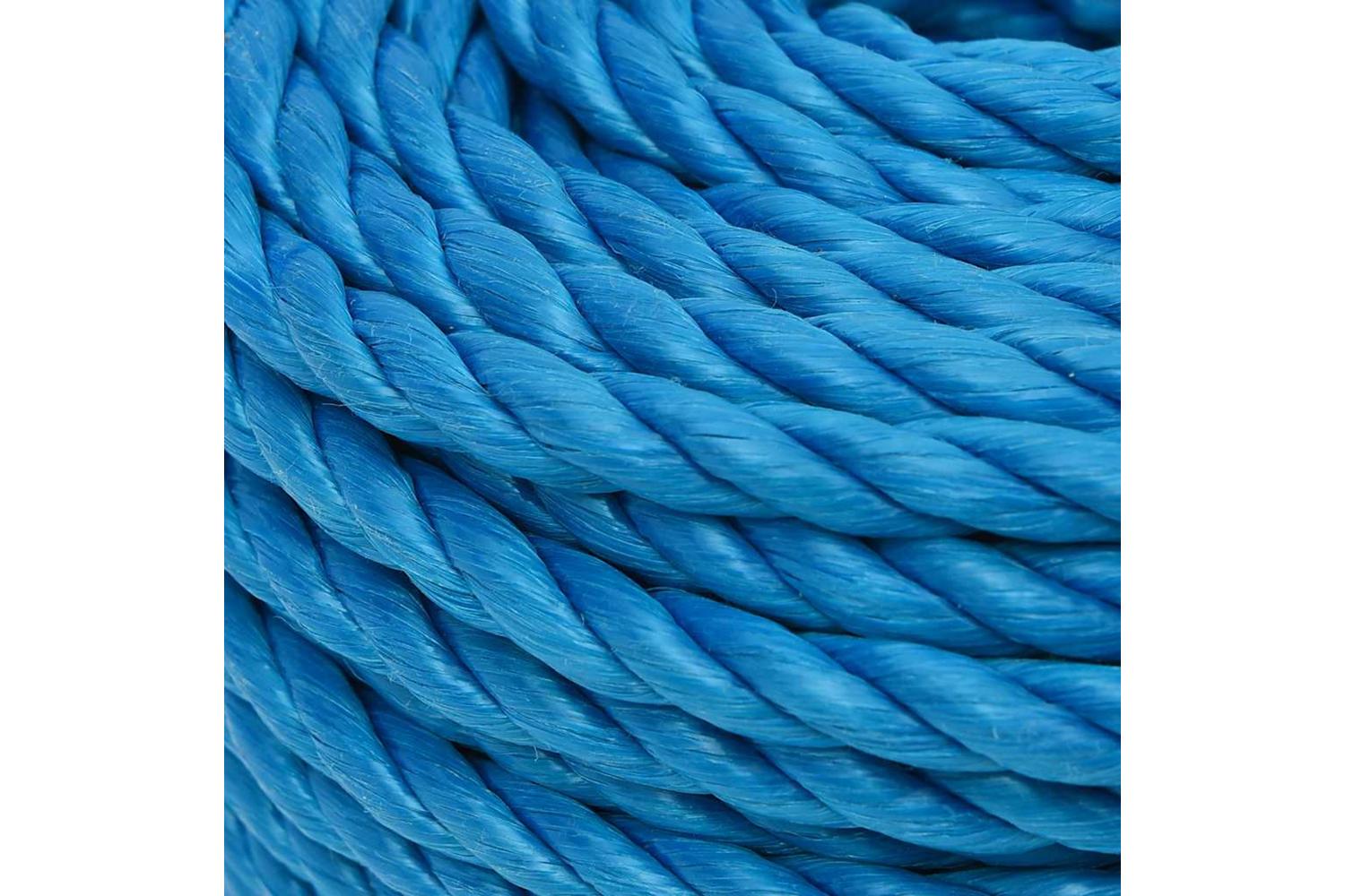 vidaXL 152973 Work Rope Blue 10mm 50 M Polypropylene-4