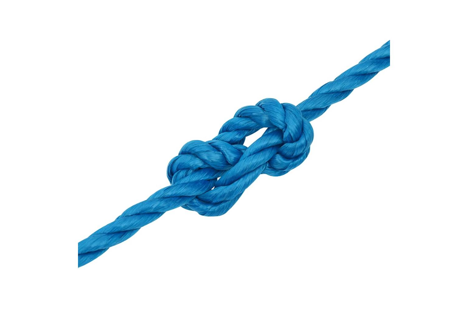 vidaXL 152973 Work Rope Blue 10mm 50 M Polypropylene-5