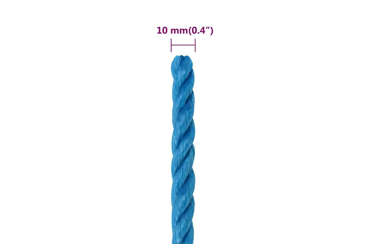 vidaXL 152973 Work Rope Blue 10mm 50 M Polypropylene-6