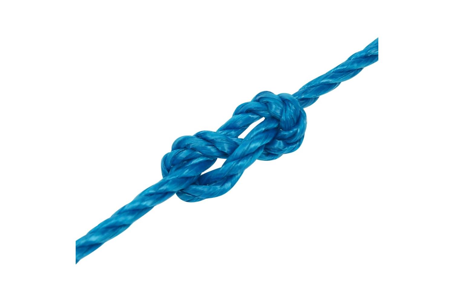 vidaXL 152969 Work Rope Blue 8mm 100 M Polypropylene-5