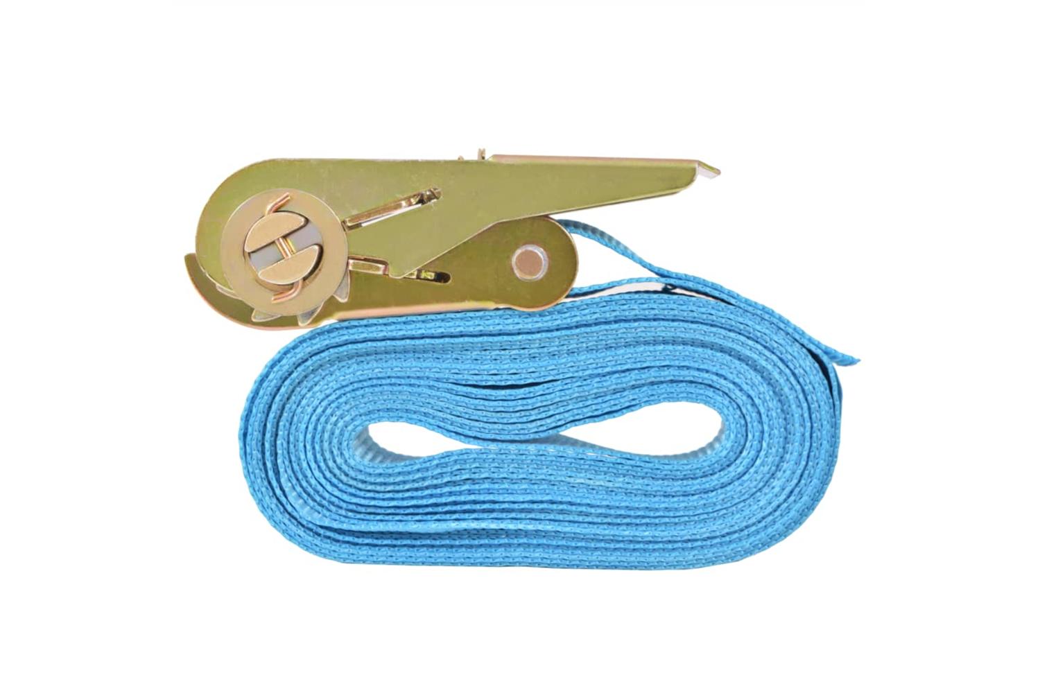 Vidaxl 142653 Ratchet Tie Down Straps 10 Pcs 0.8 Tonnes 4mx25mm Blue-4