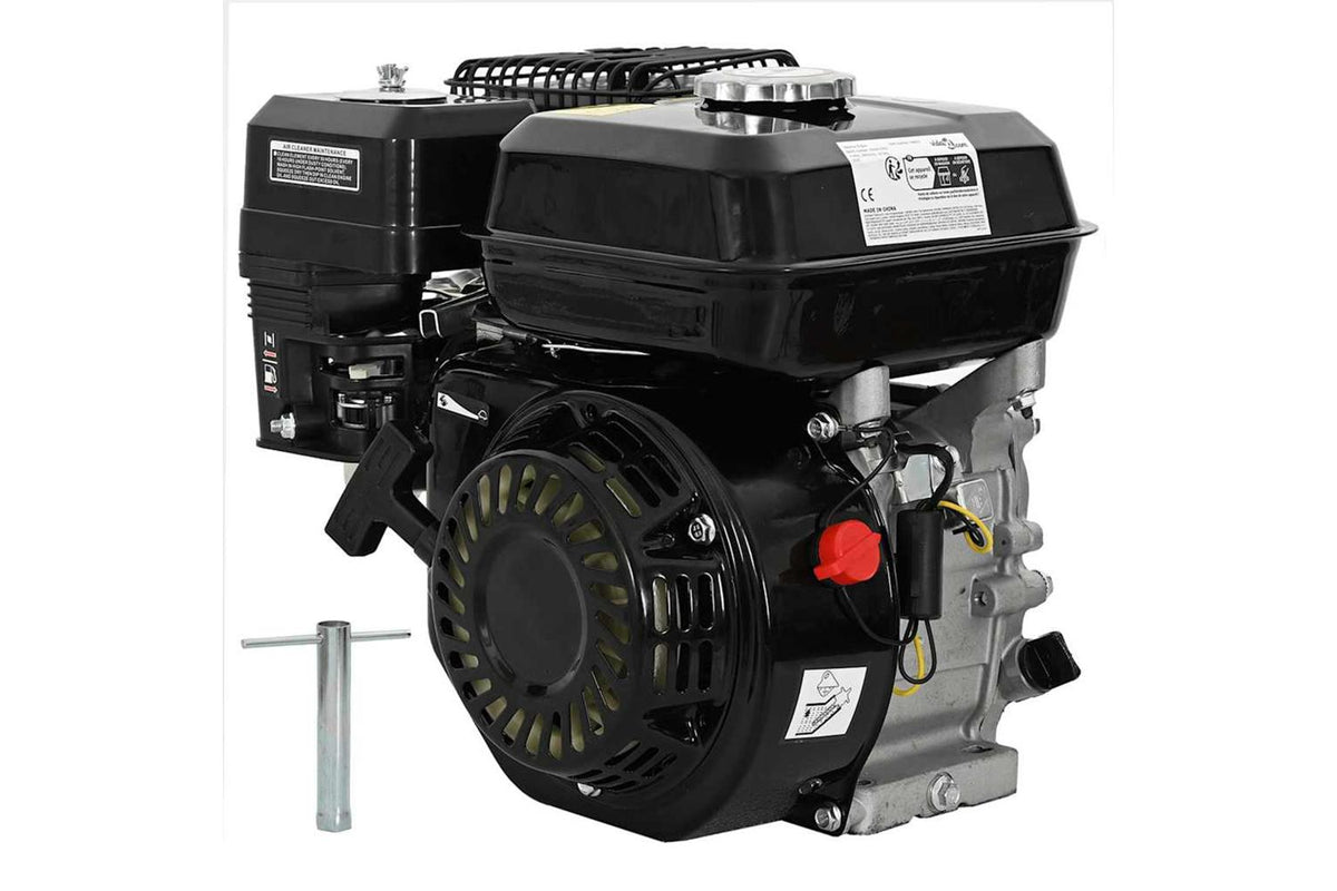 Vidaxl 141246 6.5hp 4.8kw Black Petrol Engine