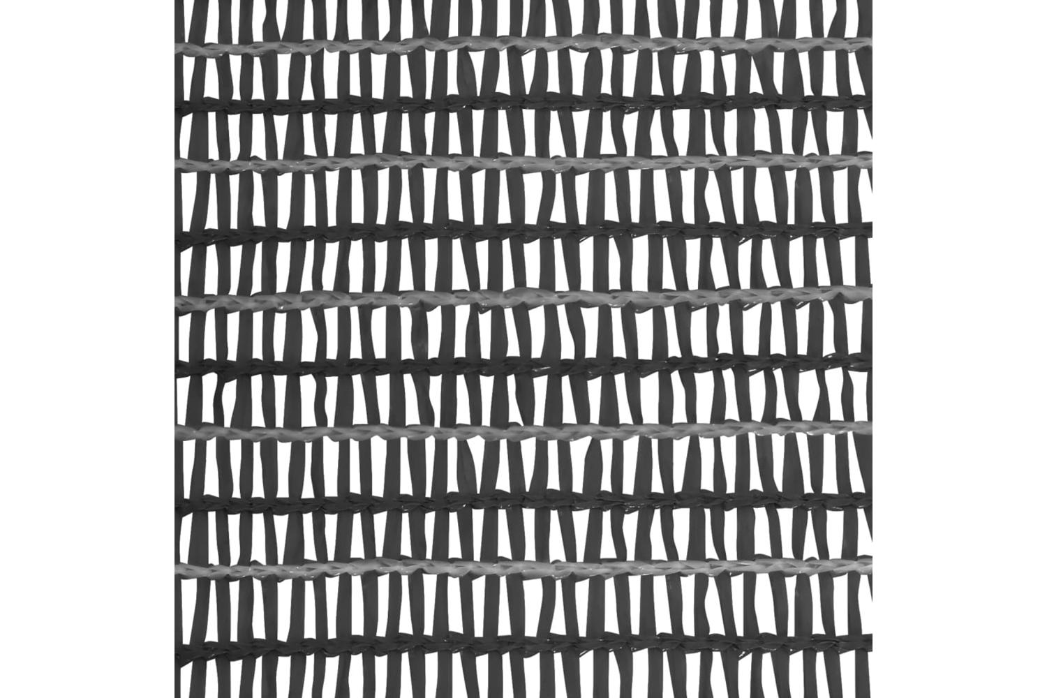 vidaXL Privacy Net Anthracite 1x10 M Hdpe 150 G/mÂ²-4