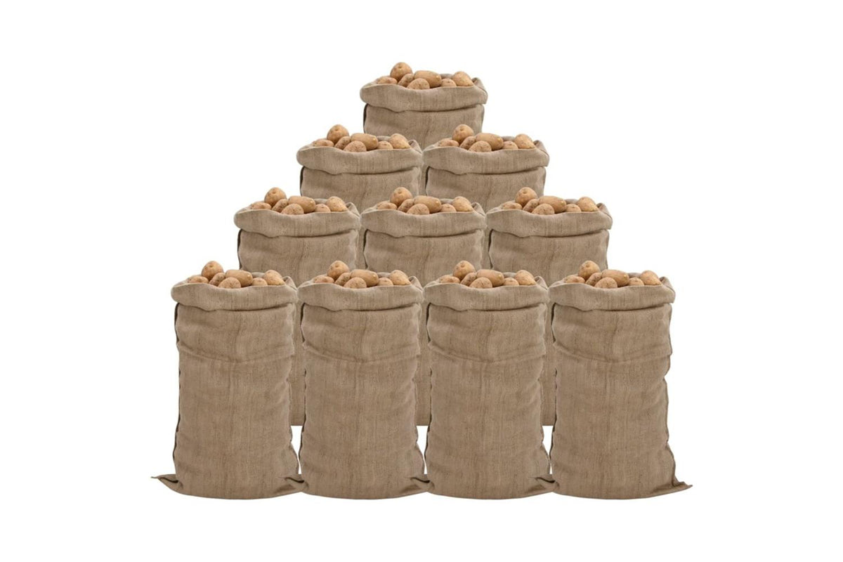 vidaXL 155786 Jute Sacks 10 Pcs 65x135cm 100% Jute 340 Gsm