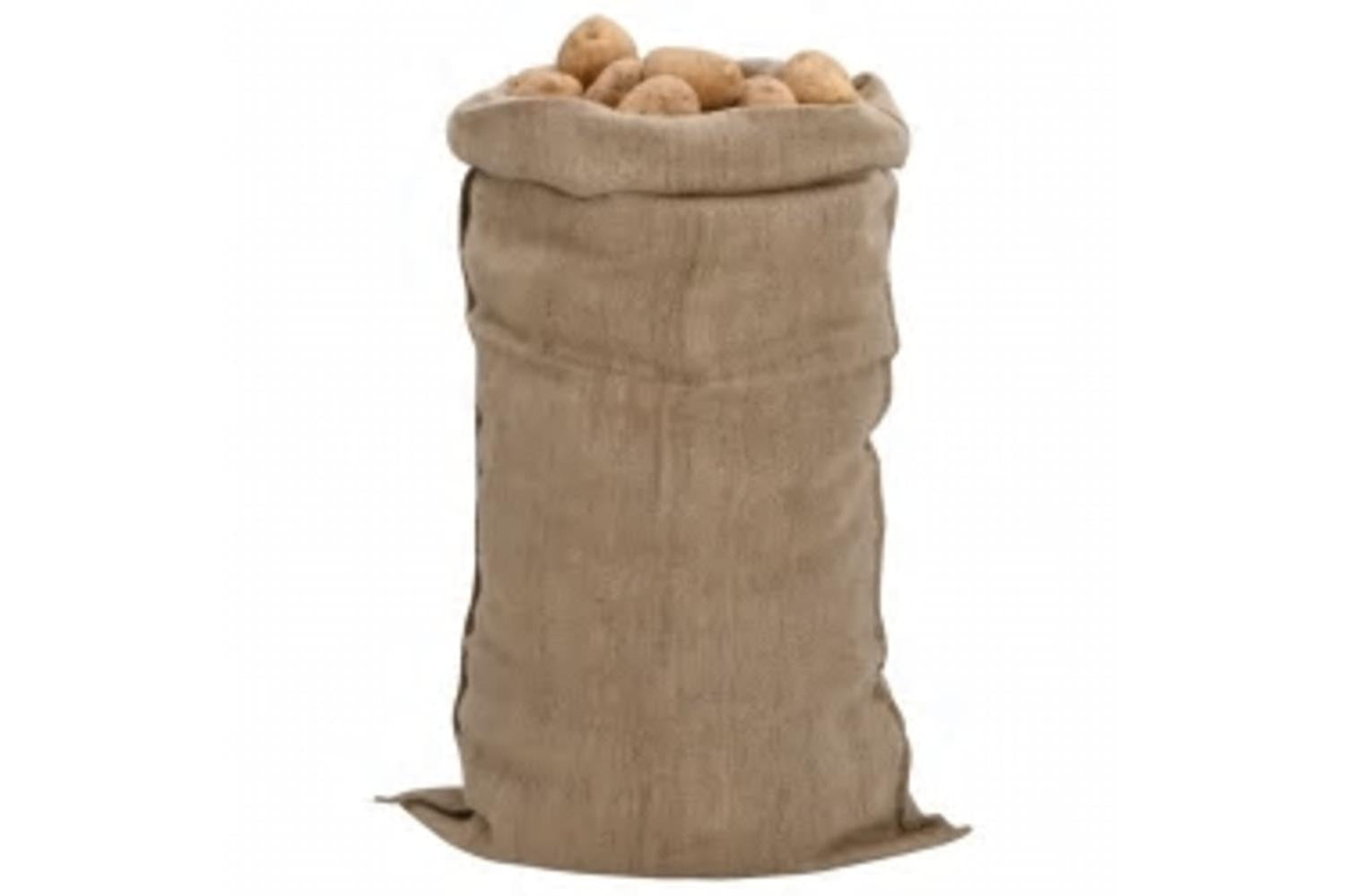 vidaXL 155809 Jute Sacks 30 Pcs 65x135cm 100% Jute 340 Gsm-2