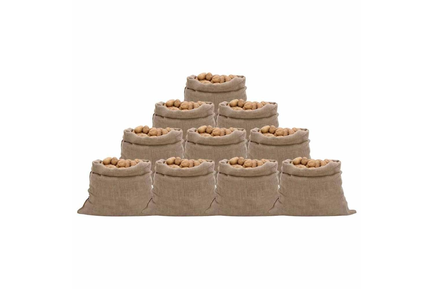 vidaXL 155782 Jute Sacks 10 Pcs 100x110cm 100% Jute 220 Gsm