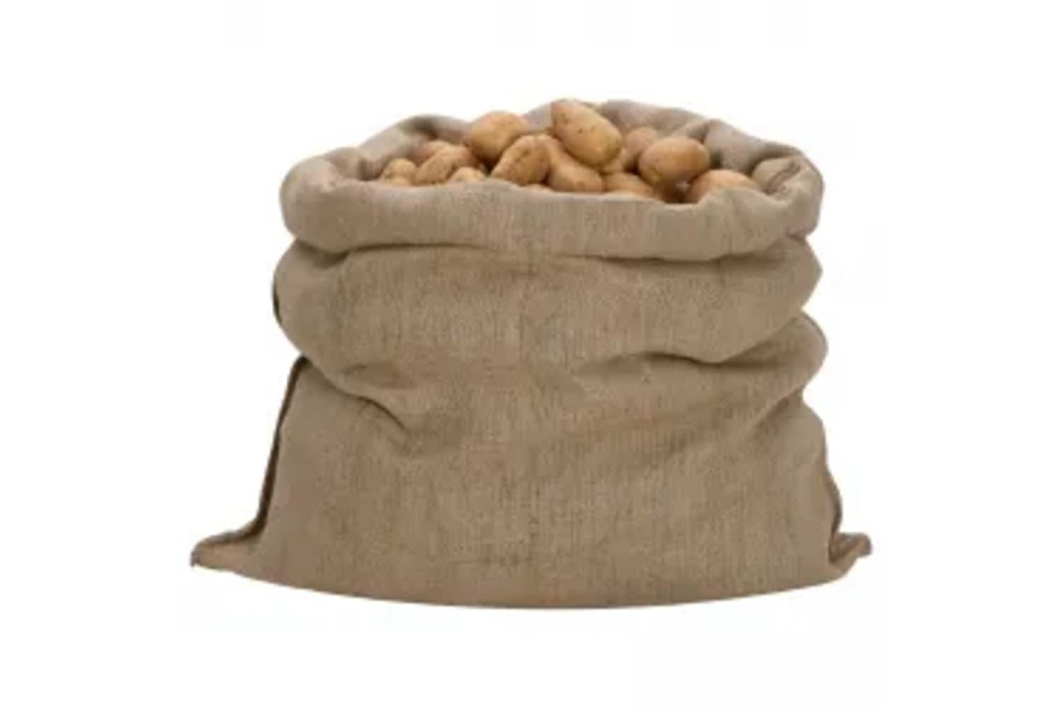vidaXL 155810 Jute Sacks 30 Pcs 100x110cm 100% Jute 340 Gsm-2