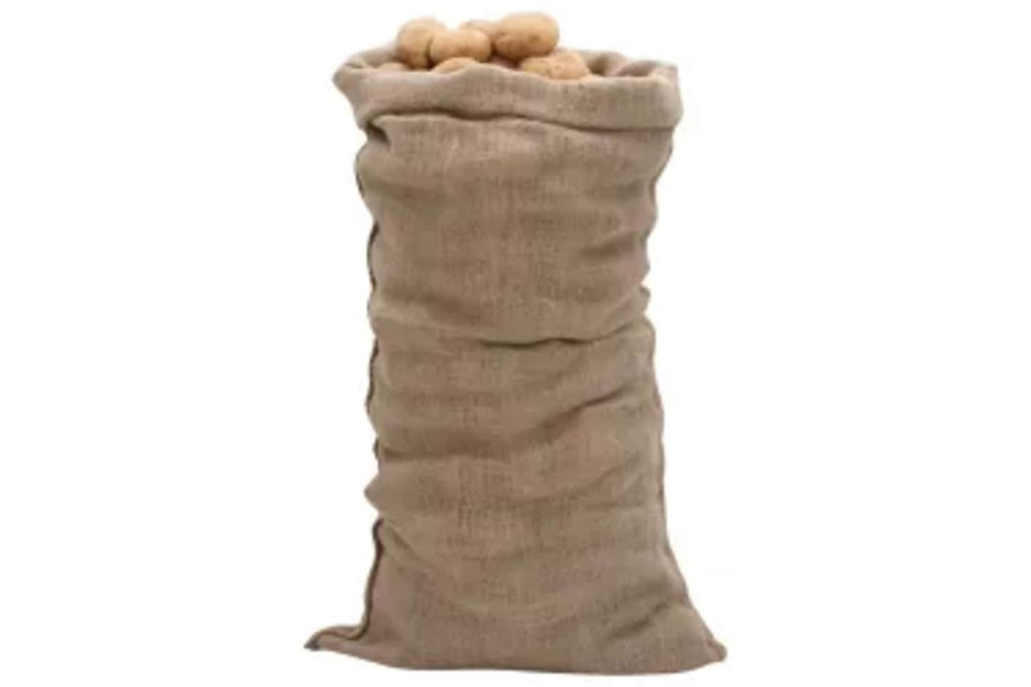 vidaXL 155806 Jute Sacks 30 Pcs 65x135cm 100% Jute 220 Gsm-2