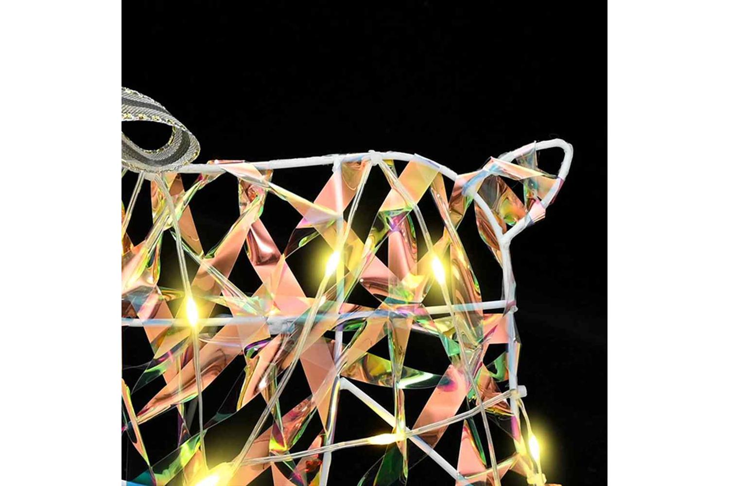 Vidaxl Led Reindeers With 40 Leds 5 Pcs Multicoulur Pet-6