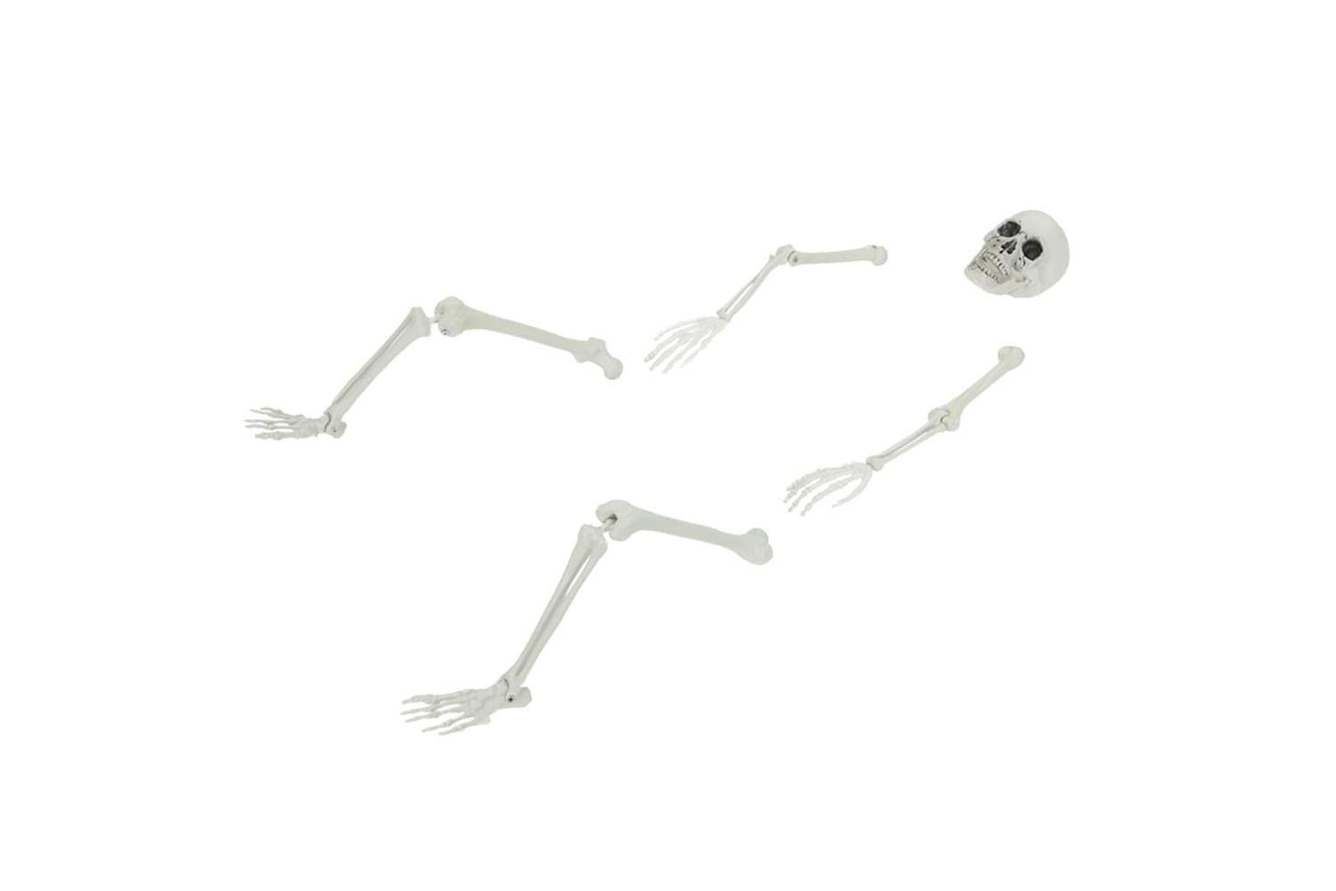 Vidaxl Halloween Skeleton White 20 X 10 X 95 Cm Plastic-2
