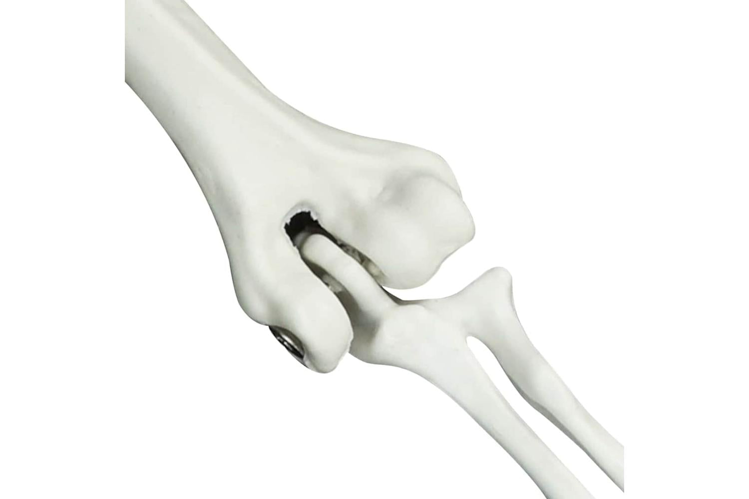 Vidaxl Halloween Skeleton White 20 X 10 X 95 Cm Plastic-5