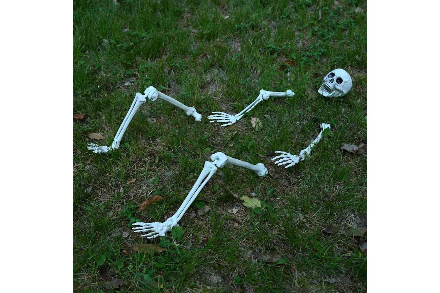 Vidaxl Halloween Skeleton White 20 X 10 X 95 Cm Plastic-6