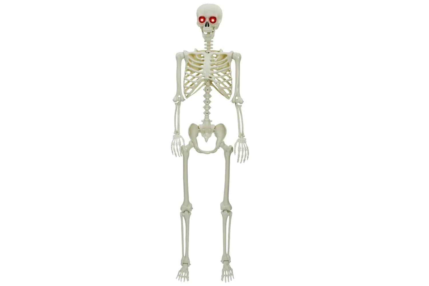Vidaxl Halloween Skeleton White Plastic