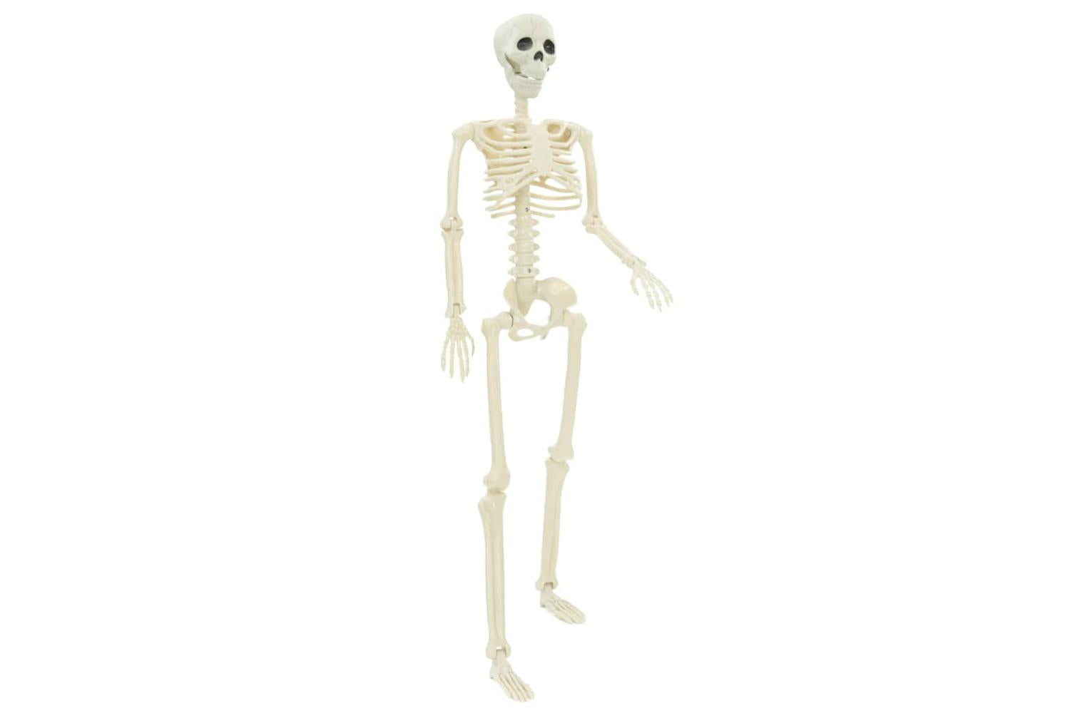 Vidaxl Halloween Skeleton 2 Pcs White 85 Cm Pvc-4