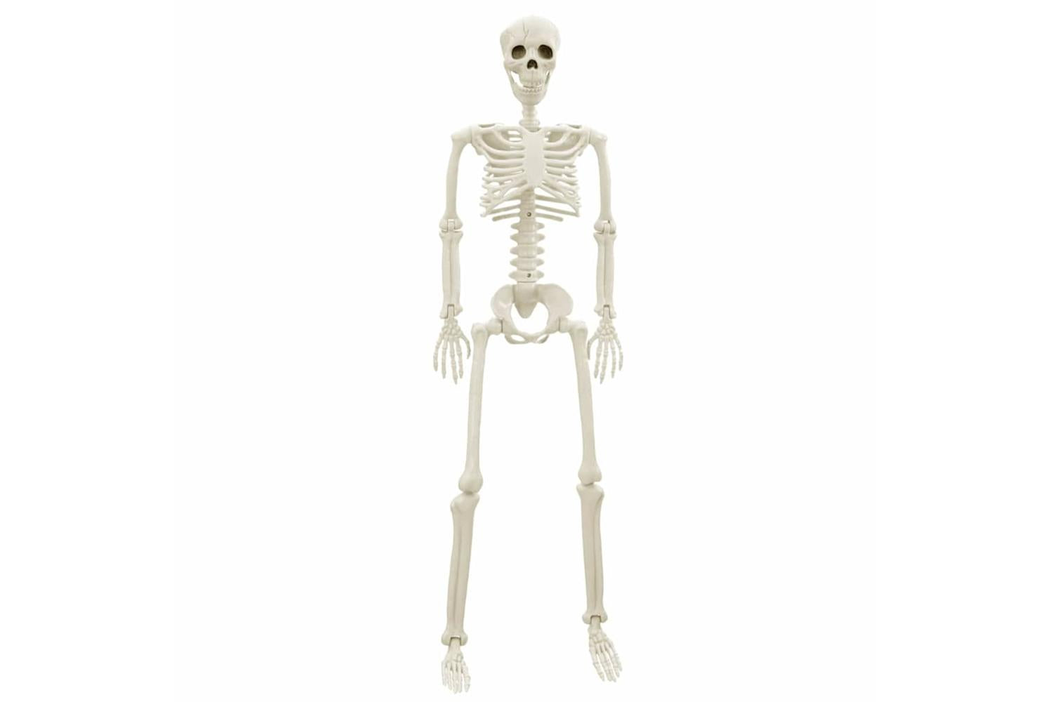 Vidaxl Halloween Skeleton 2 Pcs White 85 Cm Pvc-5