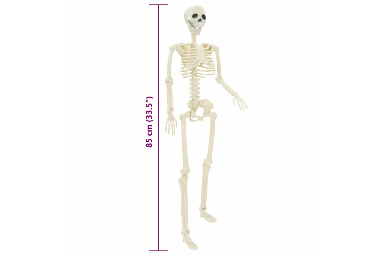 Vidaxl Halloween Skeleton 2 Pcs White 85 Cm Pvc-8