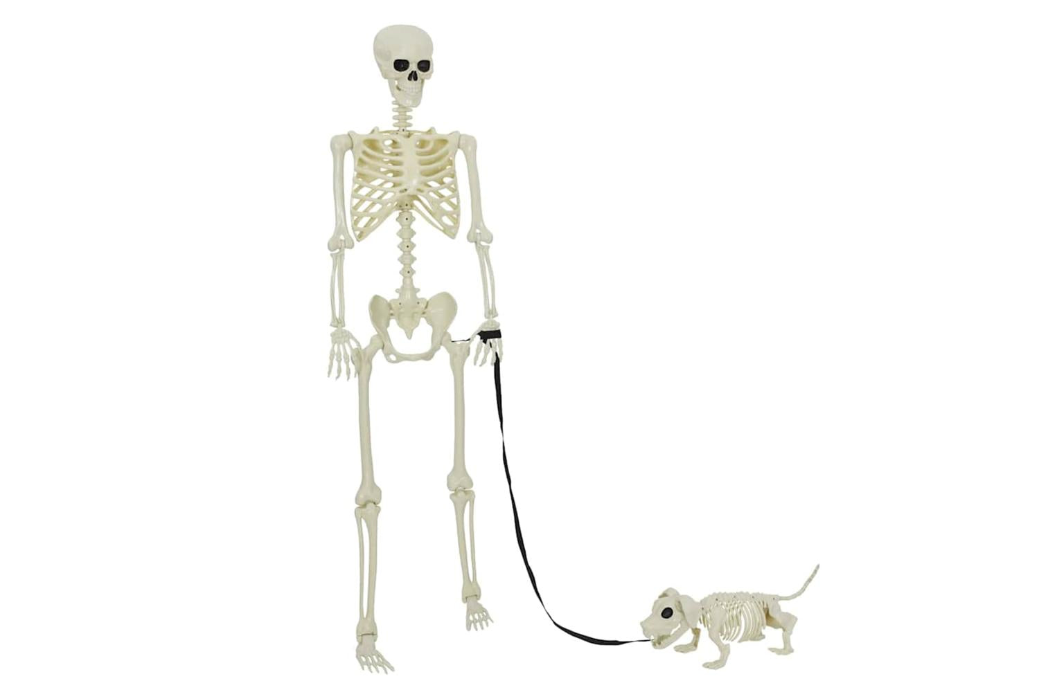 Vidaxl Halloween Decoration Skeleton 2 Pcs White Polypropylene-2