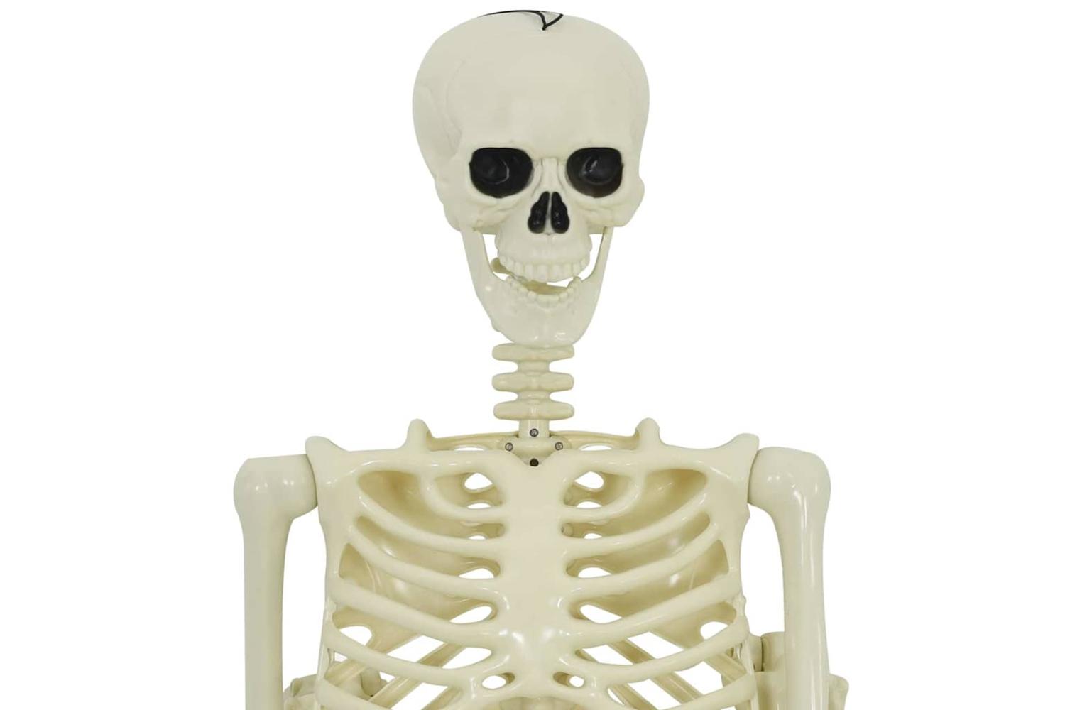 Vidaxl Halloween Decoration Skeleton 2 Pcs White Polypropylene-5