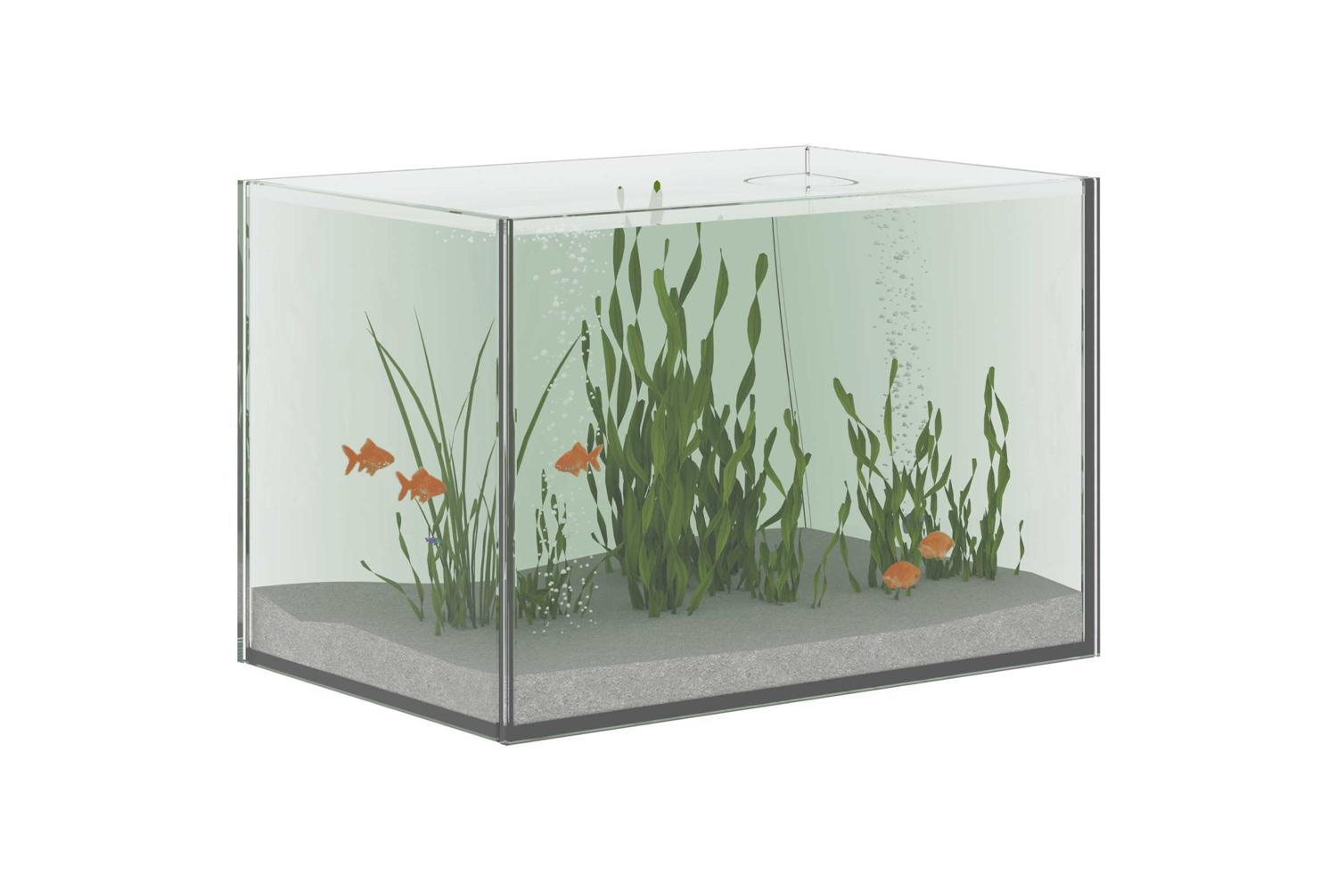 Vidaxl Aquarium With Storage Transparent 30 X 20 X 20 Cm Glass-3