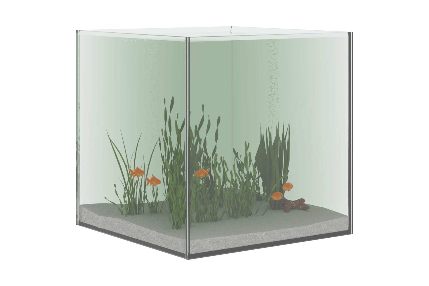 Vidaxl Aquarium With Storage Transparent 30 X 30 X 30 Cm Glass-3