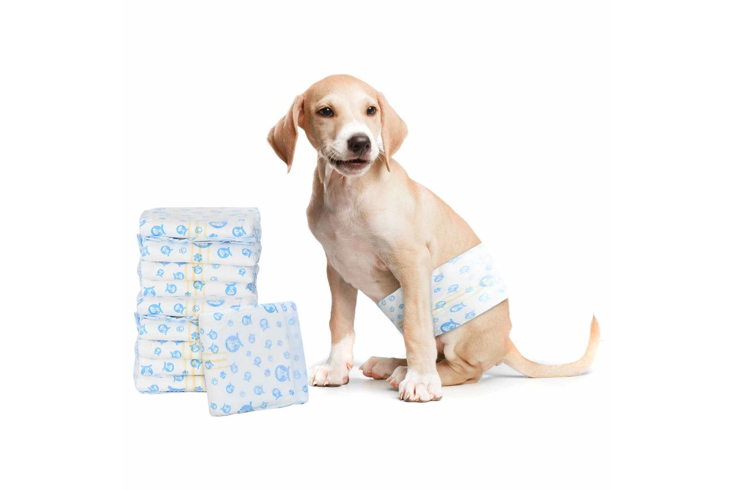 Vidaxl Disposable Dog Diaper Male 50 Pcs White S-3