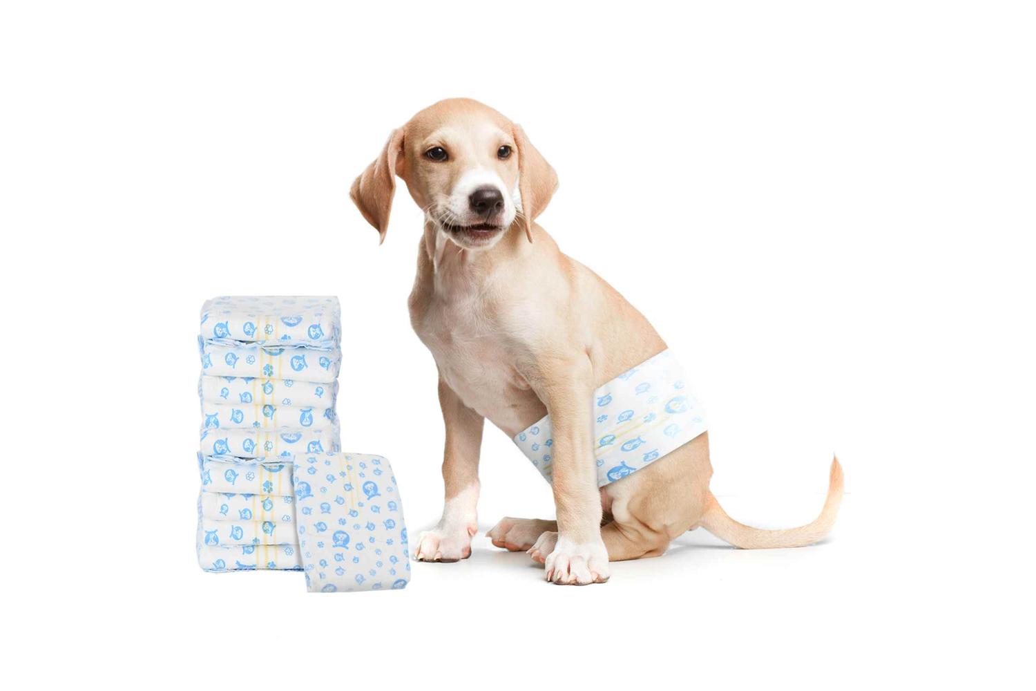 Vidaxl Disposable Dog Diaper Male 50 Pcs White M-3