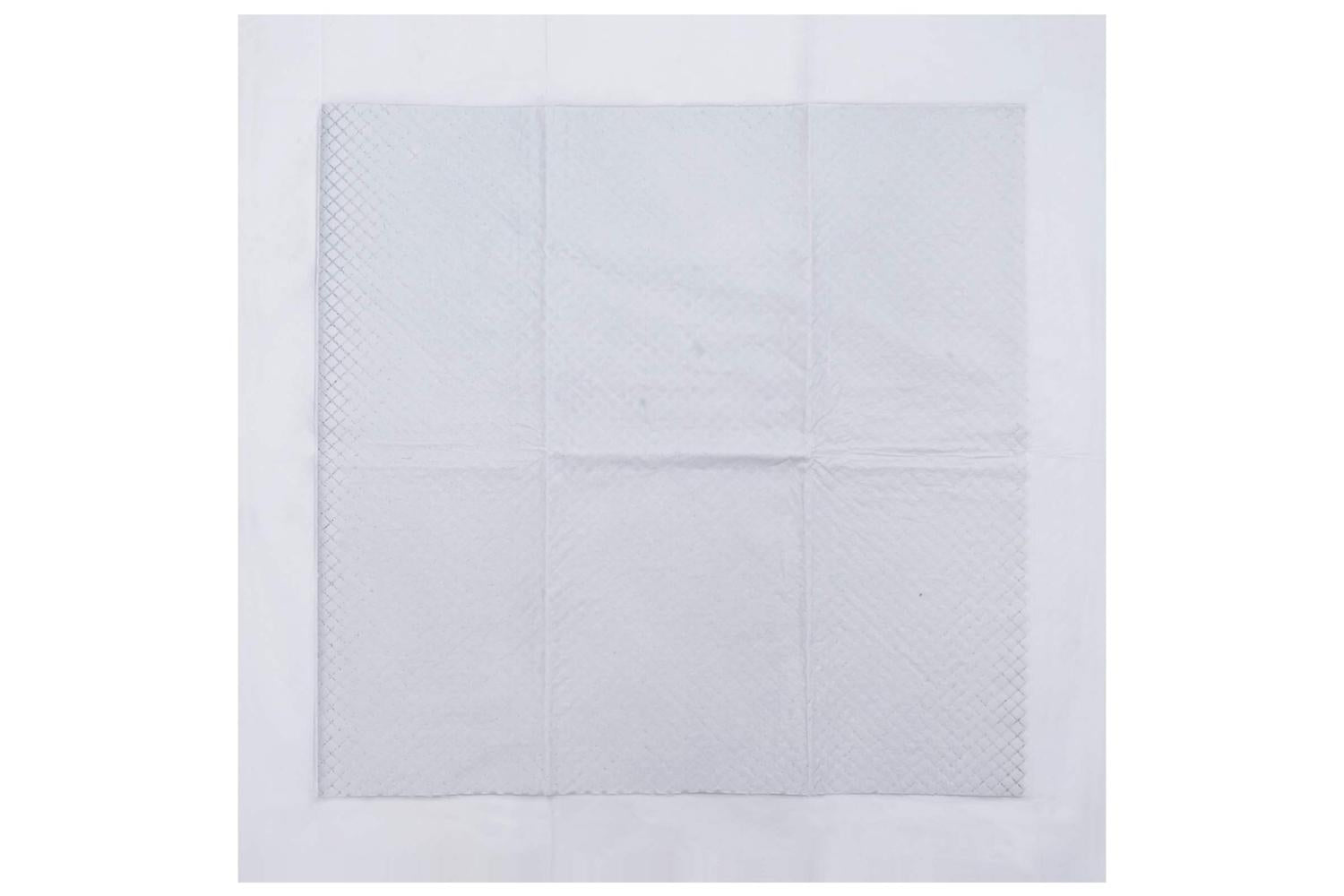 Vidaxl Pet Training Pad Plain 50 Pcs 60 X 60 Cm-7