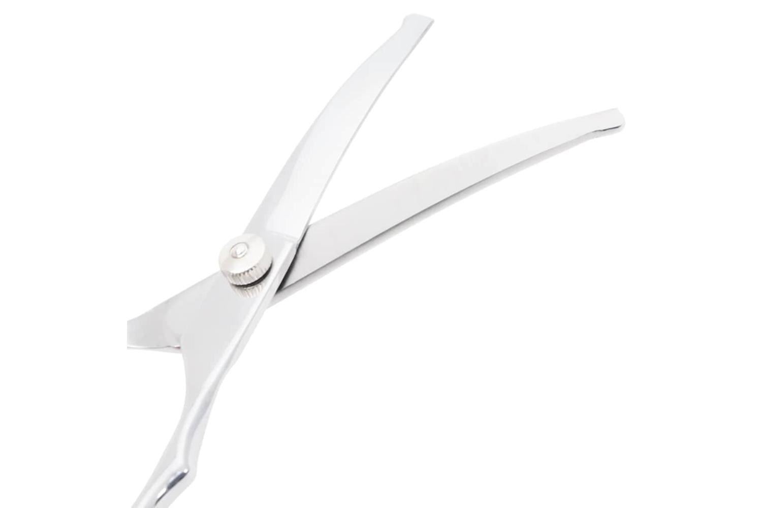 Vidaxl 4 Piece Dog Grooming Scissors Set Stainless Steel-4