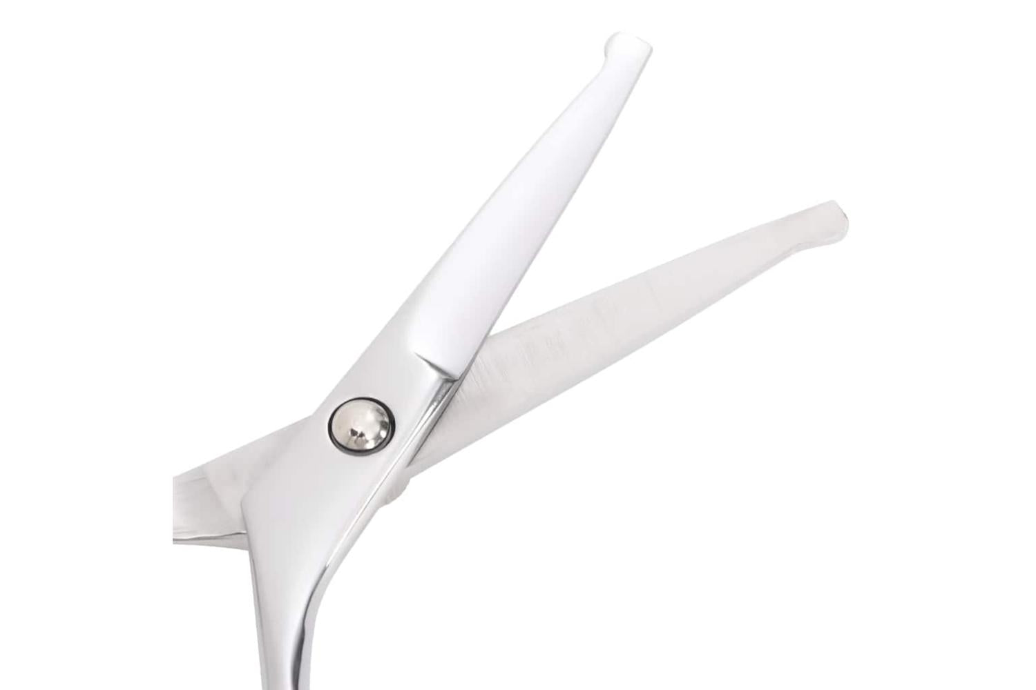 Vidaxl 4 Piece Dog Grooming Scissors Set Stainless Steel-5