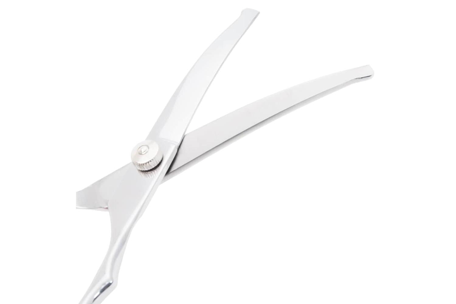 Vidaxl 6 Piece Dog Grooming Scissors Set Stainless Steel-4