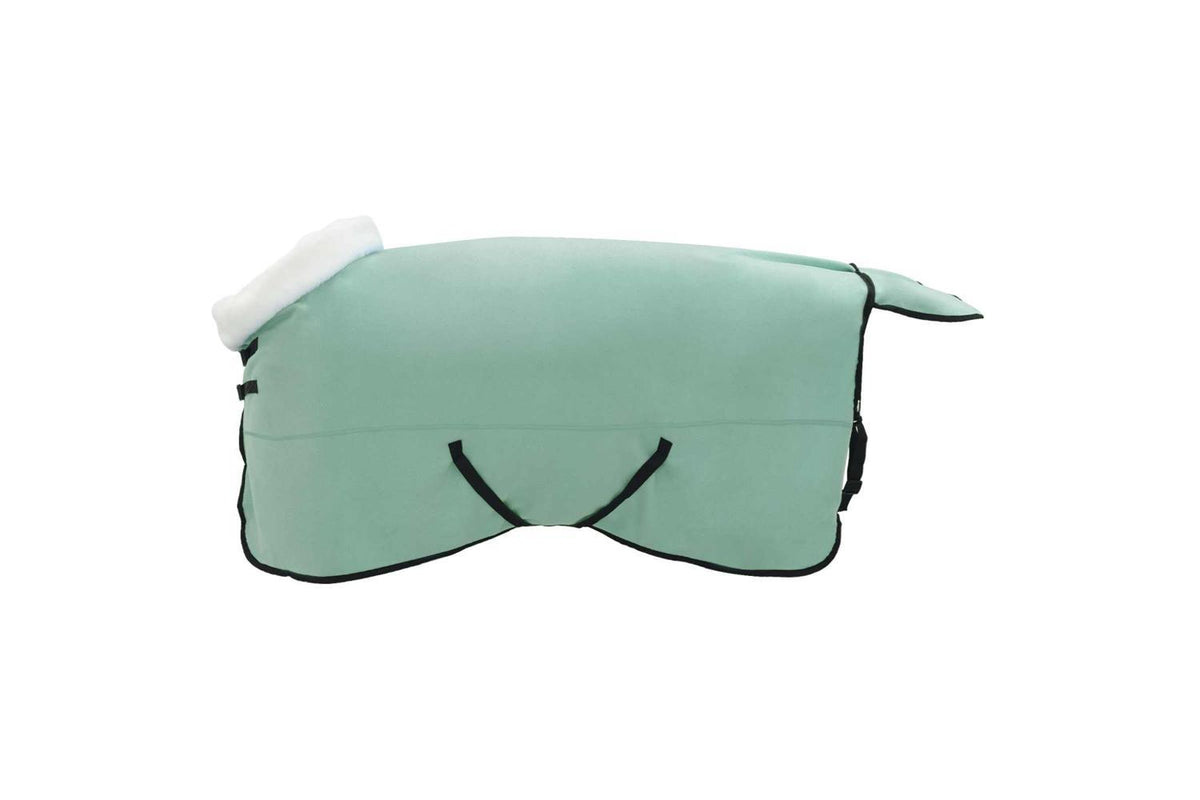 Vidaxl Horse Blanket Special Green 155 Cm Polar Fleece-4