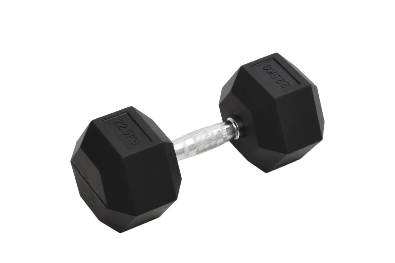Vidaxl Dumbbell 22.5 Kg Cast Iron