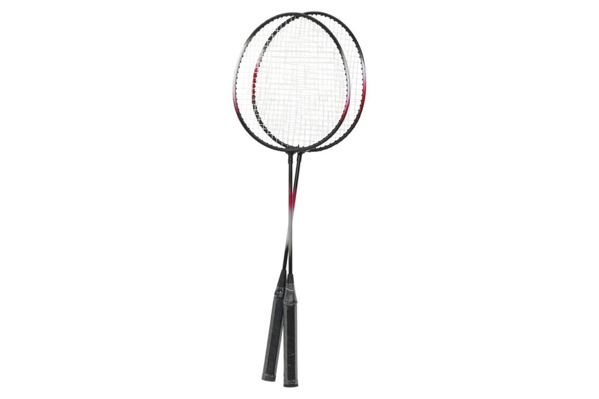 Vidaxl Badminton Set With 2 Rackets. Net & Storage Case 292x30x152 Cm-4