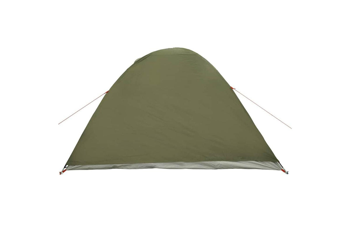 Vidaxl Camping Tent Dome 4-person Olive Green Waterproof-9