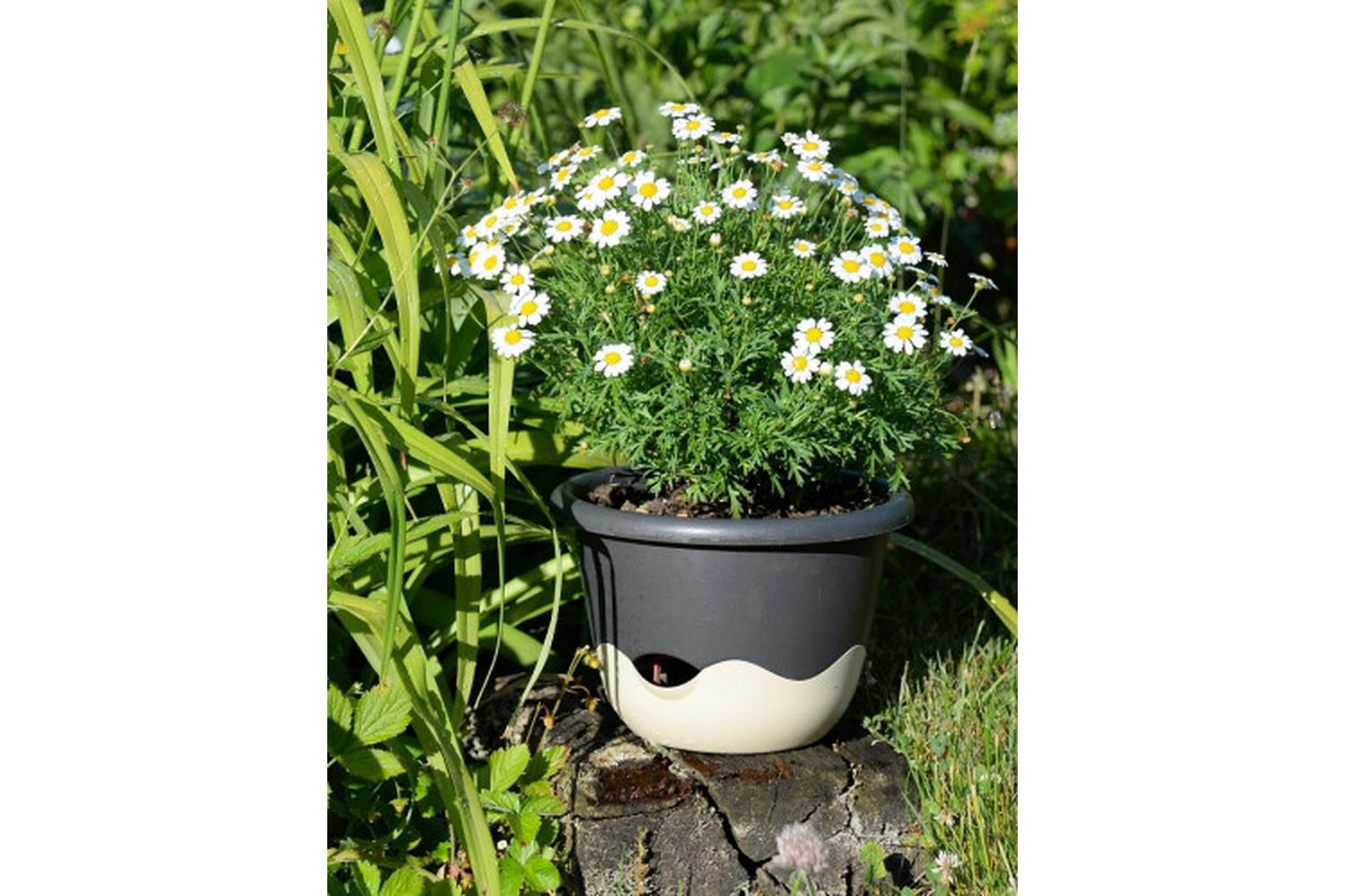 Plastia Mareta Flower Pot | Grey | 30cm-3