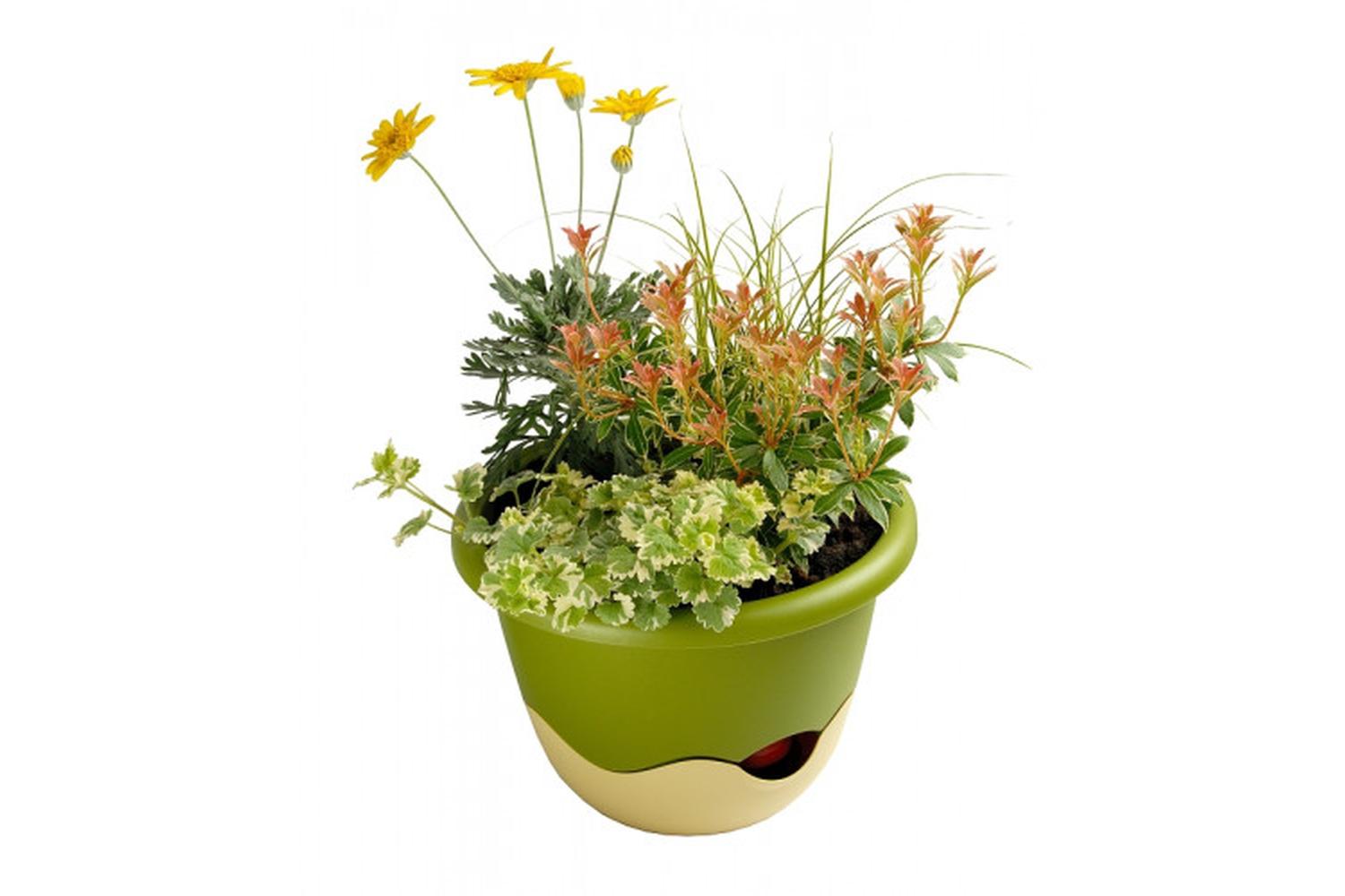Plastia Mareta Flower Pot | Green & Beige | 30cm-2
