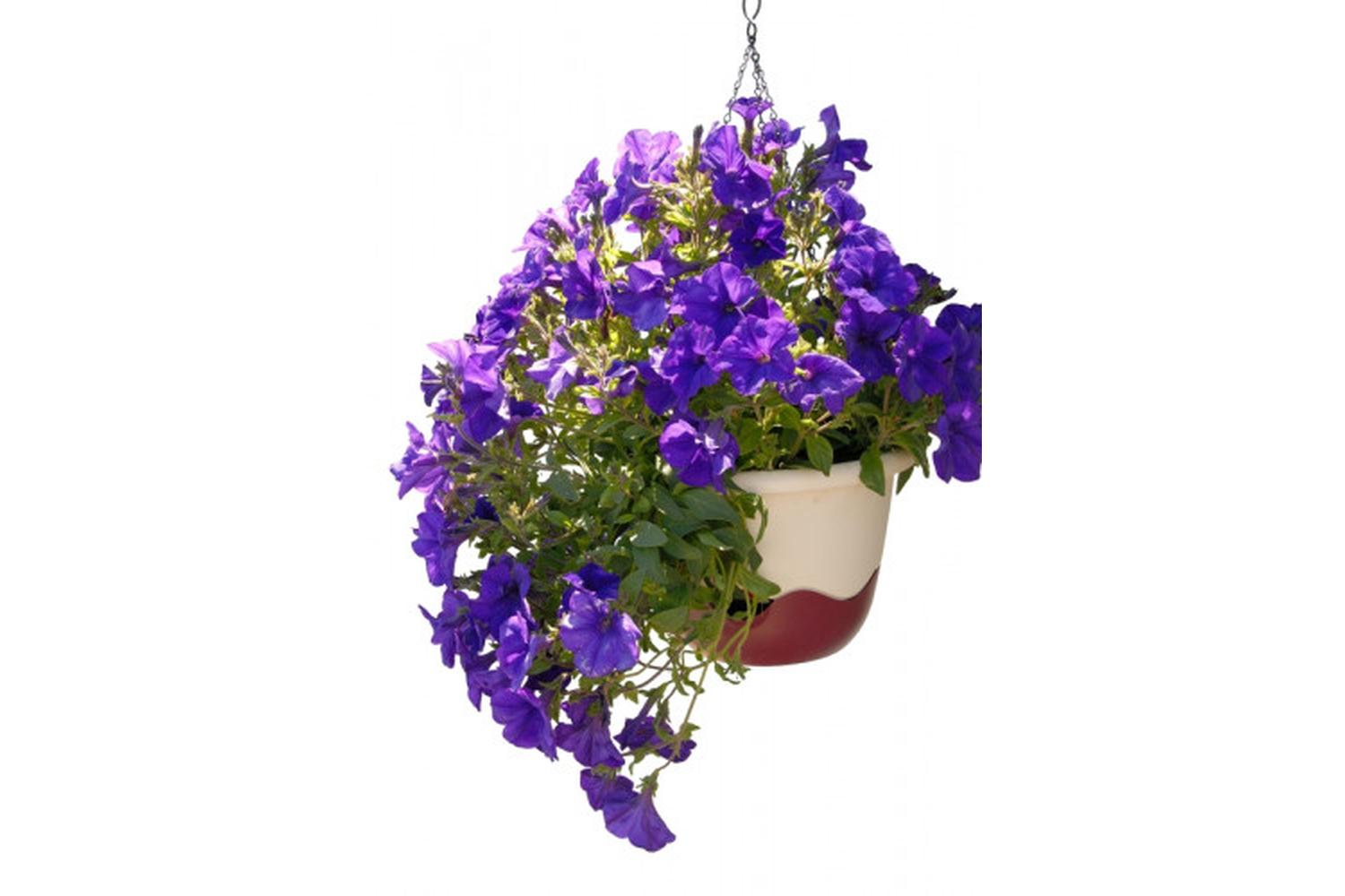 Plastia Mareta Flower Pot | Beige & Wine Red | 30cm-2