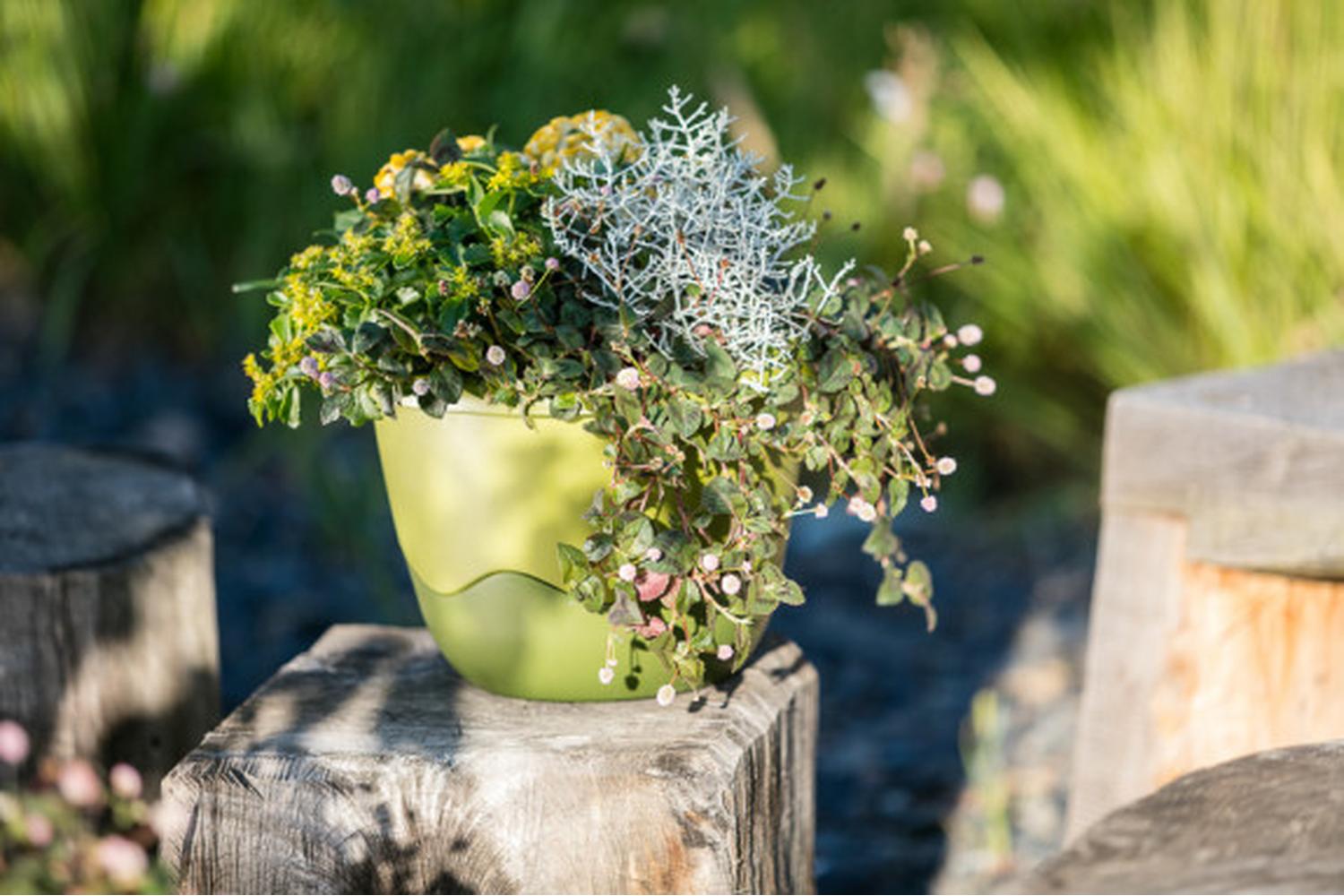 Plastia Mareta Flower Pot | Green| 30cm-2