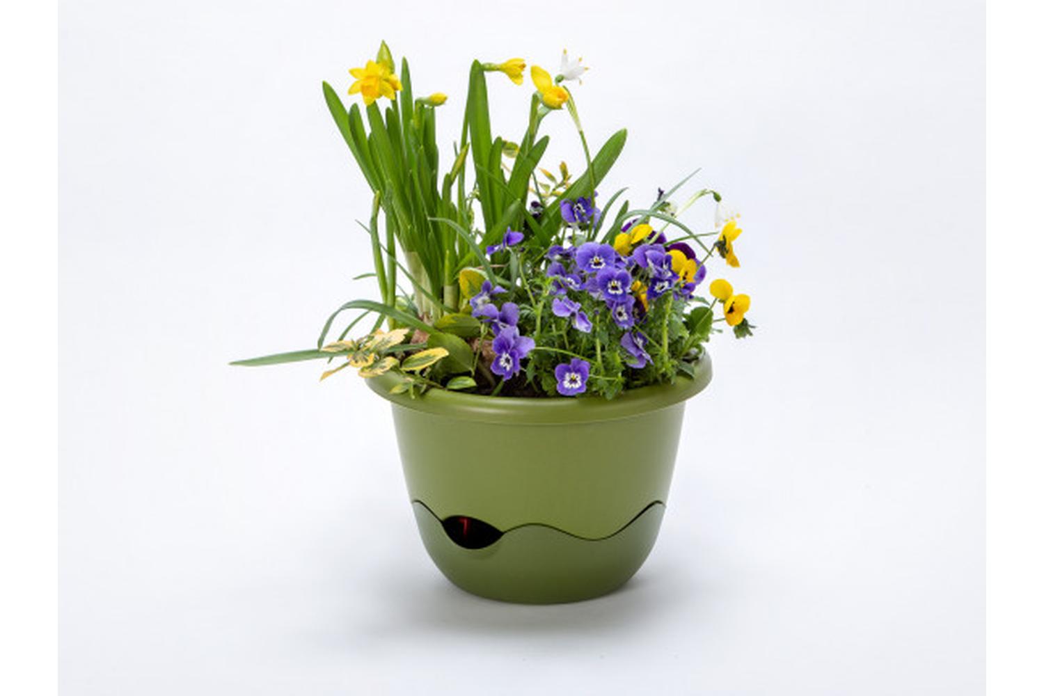 Plastia Mareta Flower Pot | Green| 30cm-3