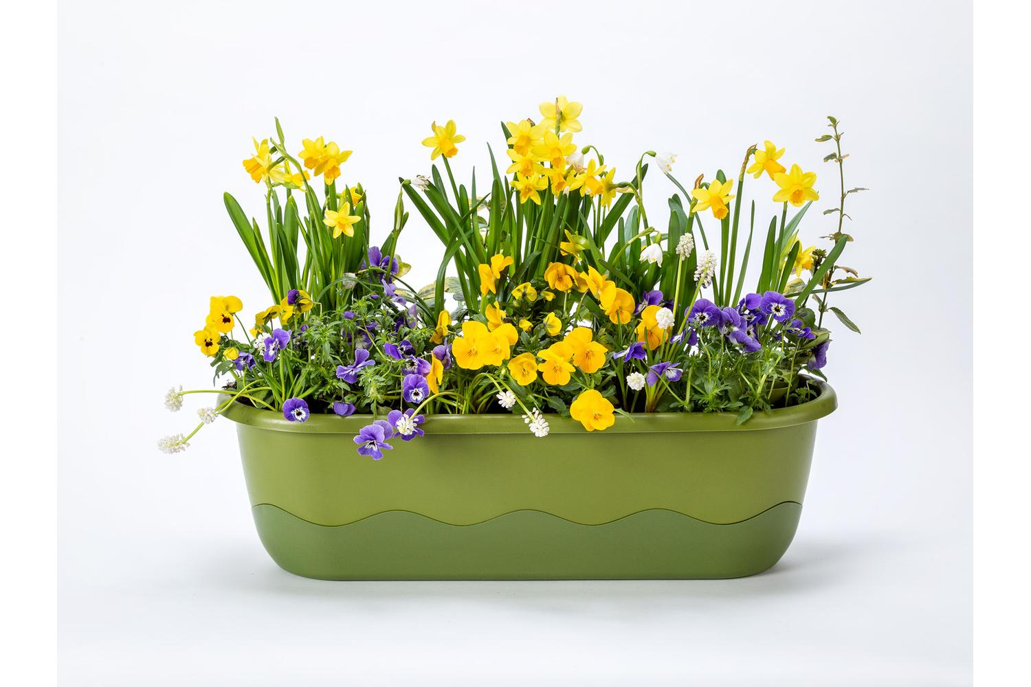 Plastia Mareta Flower Box | Green | 60cm