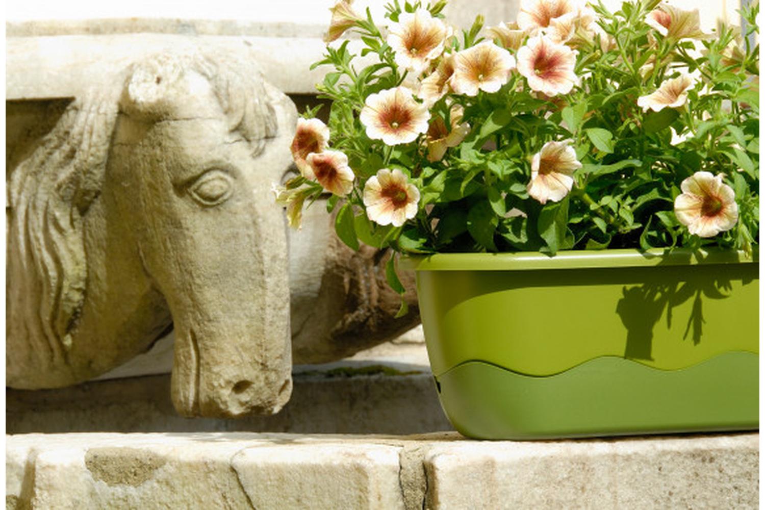 Plastia Mareta Flower Box | Green | 60cm-3