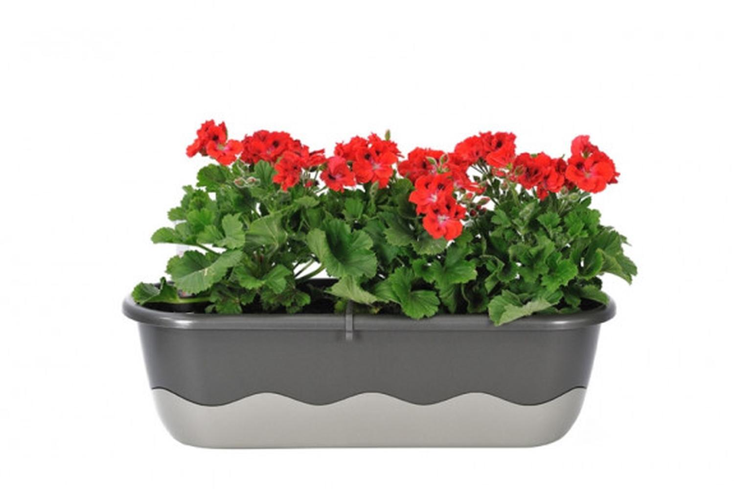 Plastia Mareta Flower Box | Grey | 60cm-3