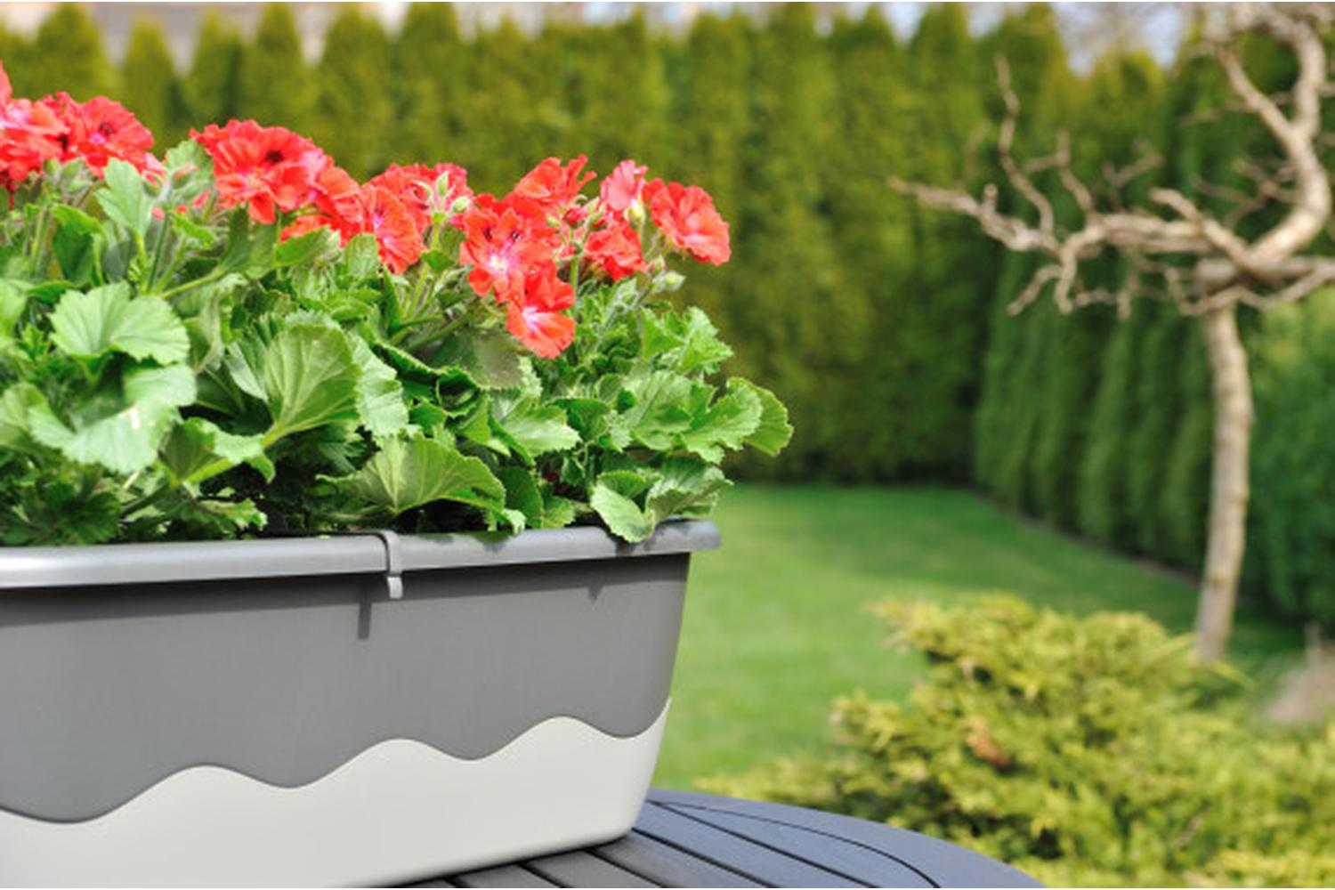 Plastia Mareta Flower Box | Grey | 60cm-4