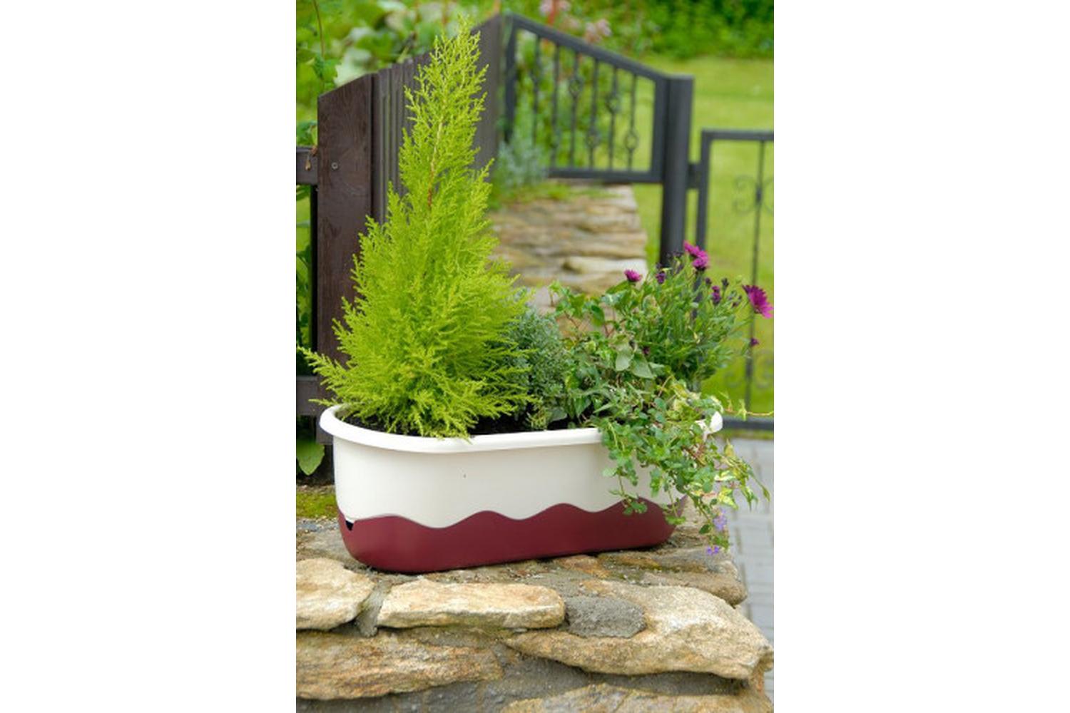 Plastia Mareta Flower Box | Beige & Wine Red | 60cm-4
