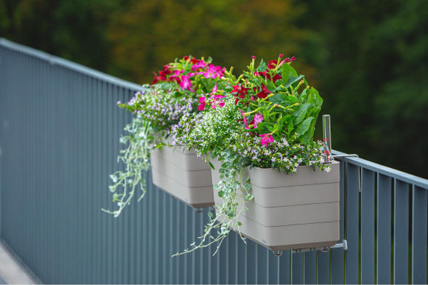 Plastia Berberis Flower Box | Taupe & Beige | 60cm-5