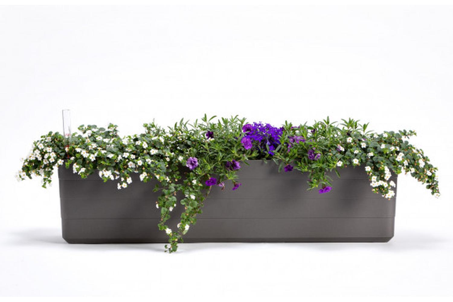 Plastia Berberis Flower Box | Grey & Green | 60cm-3