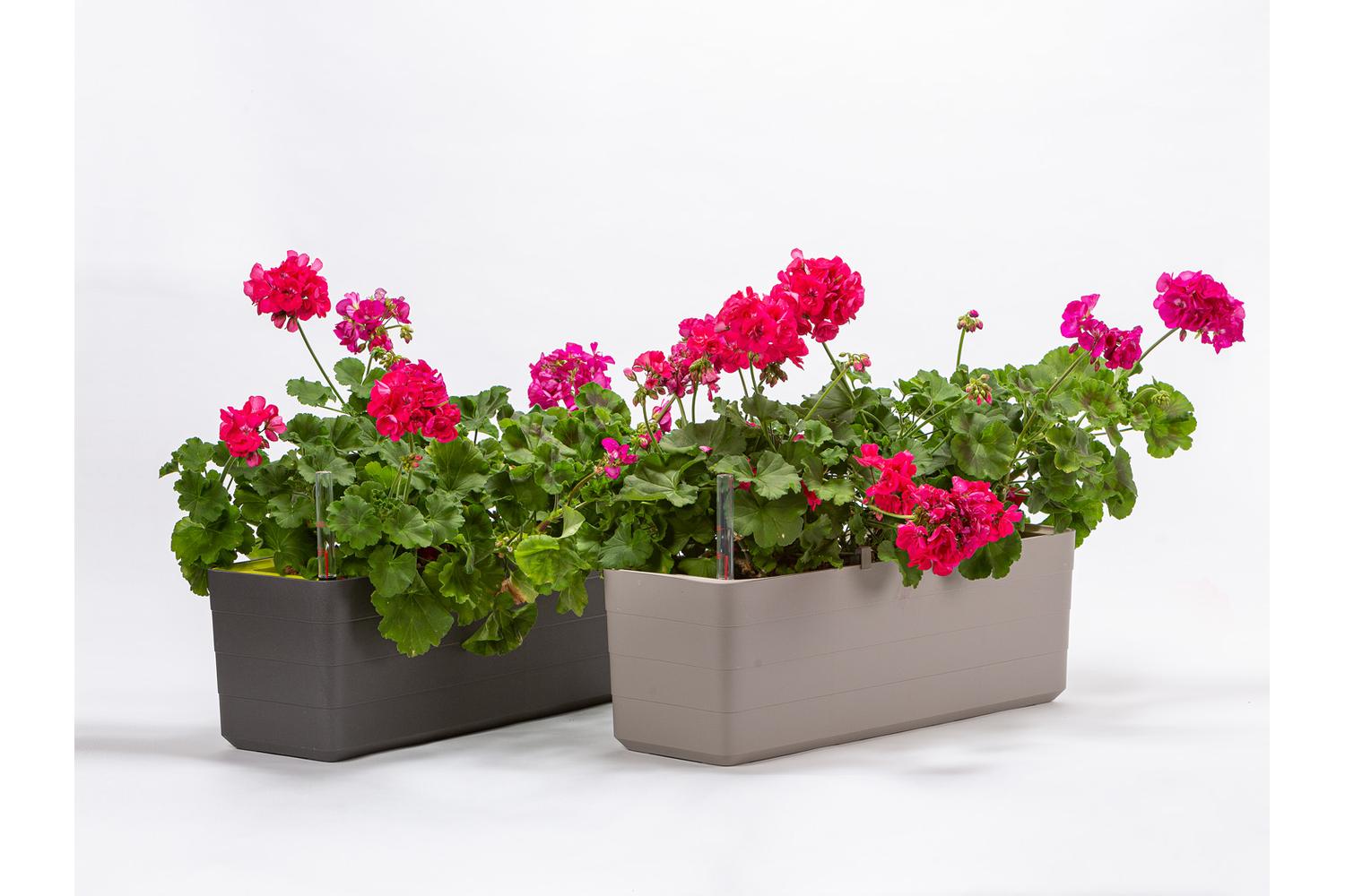 Plastia Berberis Flower Box | Grey & Green | 60cm-8